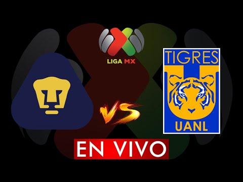 ⚽ PUMAS VS TIGRES EN VIVO – LIGA BBVA MX SEMIFINAL APERTURA 2023 ⚽ DONDE VER EN VIVO – futbolnew.es